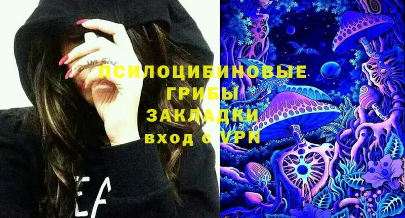 Псилоцибиновые грибы Cubensis  дарнет шоп  Семикаракорск 